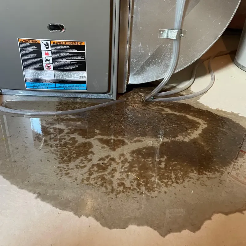 Appliance Leak Cleanup in Saks, AL